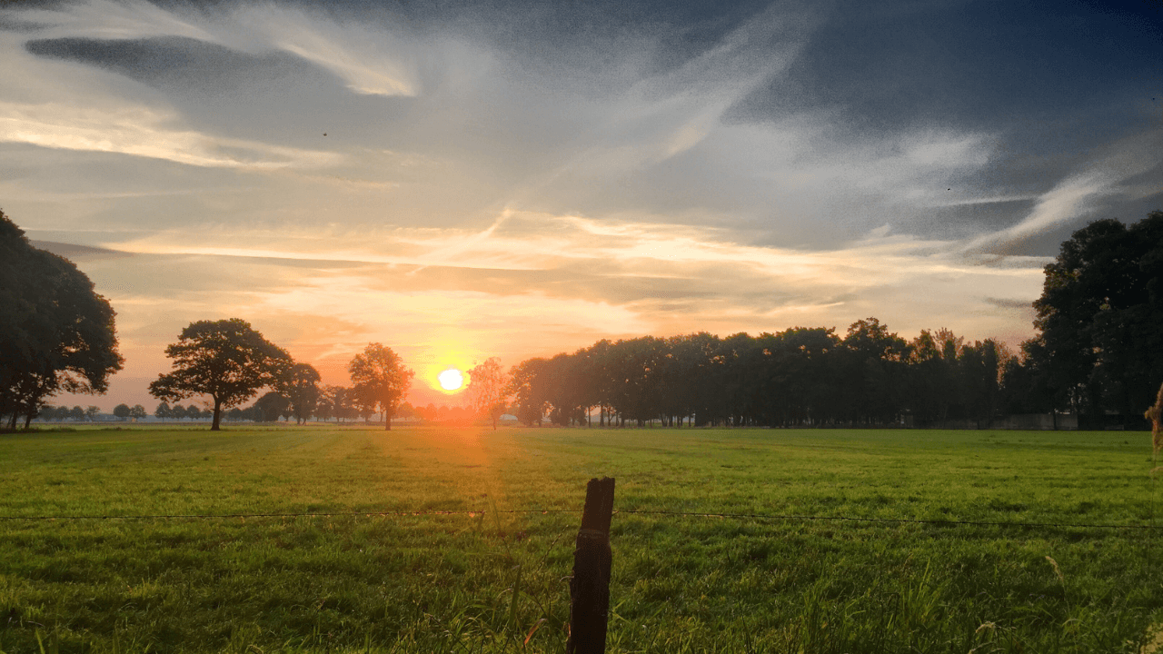 Bienvenido a Paisano